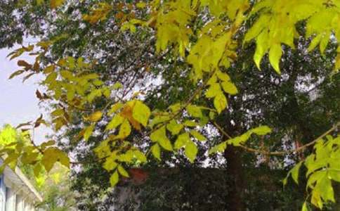 ��Ҋ(ji��n)ů���簲ף���Z(y��)30��