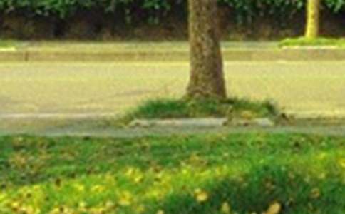 ���P(gu��n)�簲ף���Z�R����ͨ��100�䣩