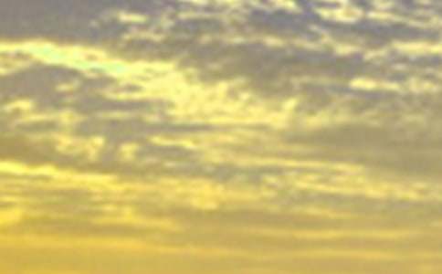 �簲��������Ȧ�İ�