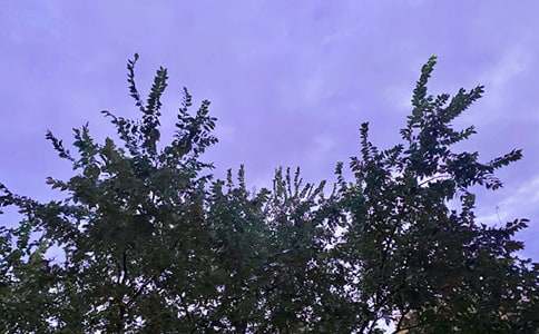 �����簲ף���Z�R�������x190�䣩