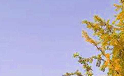 ���]��(l��)־�簲ף���Z(y��)�����x190�䣩