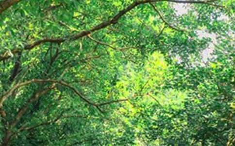 ���Tů���簲���Z��ȫ�����x75�䣩