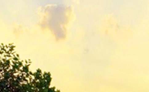 ��(j��ng)���������簲�İ��R����ͨ��110�䣩