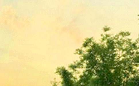 ���]��(g��)���簲�İ��R�������x120�䣩