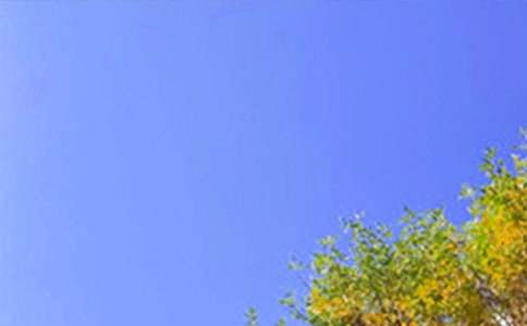 �簲��������(l��)־�İ�