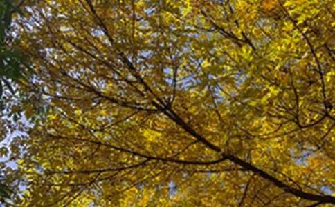 ���Є�(l��)־�簲ף���Z(y��)80�侫�x