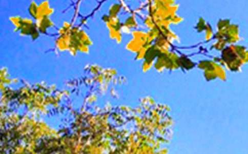 �������õ��簲ף���Z28�l