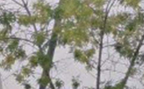 �����������簲�İ��R��145�侫�x