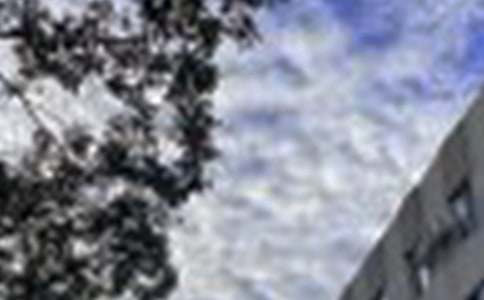 �峿���簲ף���Z