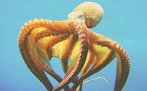 ���~������