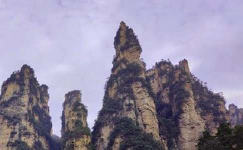 �Ώ��ҽ�����(15ƪ)