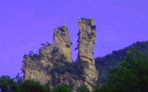 �Ώ��ҽ�ɭ�ֹ��@����