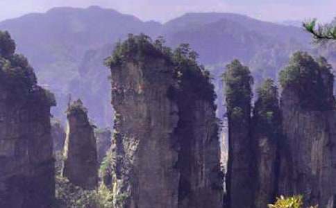 �����ϣ����ҽ�֮������