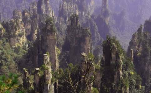 �����ď��ҽ�����