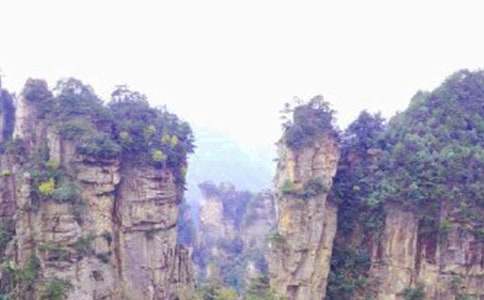 ���ҽ��������·�����ԣ�ͨ��5ƪ��