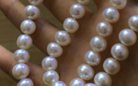 ���������Bֳ����