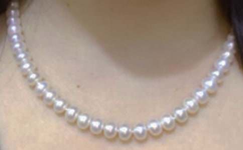 ������Ȫ���̌W�OӋ