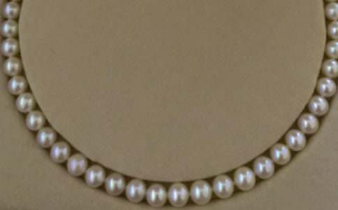 �ҵĽ��~�����顱