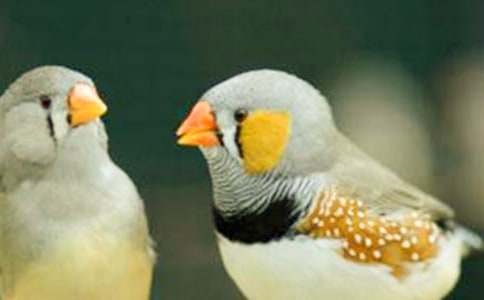 �������B�������̌W(xu��)�O(sh��)Ӌ