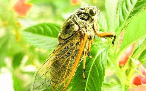 ׽֪������(15ƪ)