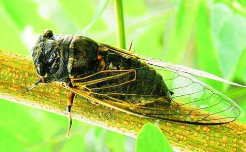 求助!有誰接到沃爾瑪?shù)耐ㄖ藛幔?/></p><div id=