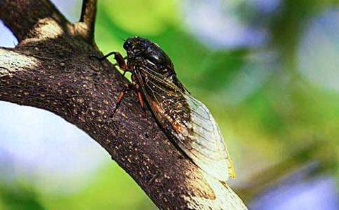 ץ֪�����ı؂䡾7ƪ��