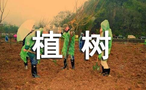 ���؂䣩�H��ֲ����(d��ng)����4ƪ