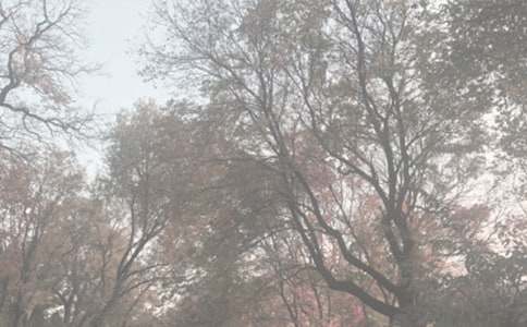 ֲ��@�^���