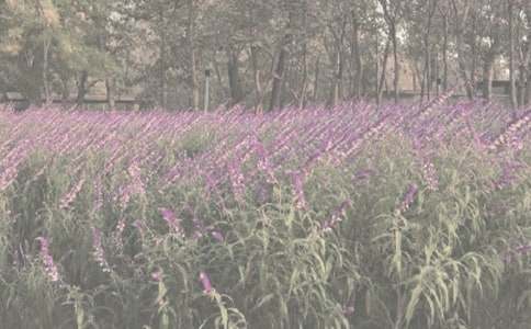 �d¡�Ꭷֲ��@�����ι���