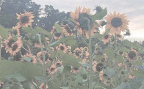 ֲ��@�^���11ƪ