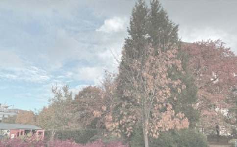 ���Pɽ��ϡֲ��@�G����������ʩ����ʩ���O(ji��n)���И�(bi��o)����