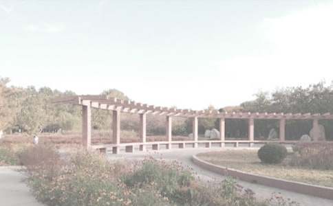 ��ֲ��@����15ƪ