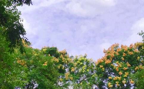 ���粻�vԒ�ı��C��