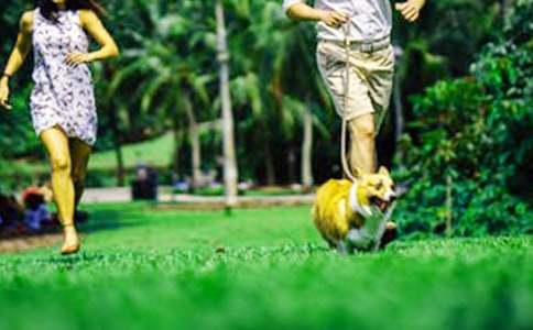 ��ĩ�������İ�