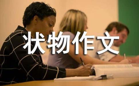 ��������300�օR����ƪ