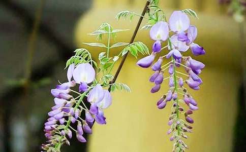 ���x���ٻ�������ƪ