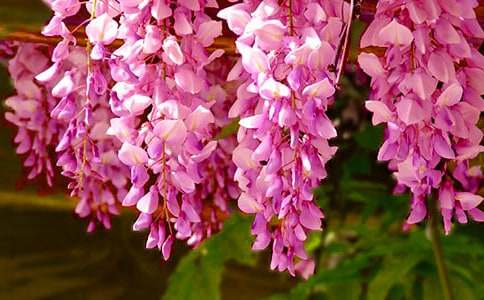 ���ٻ�����9ƪ