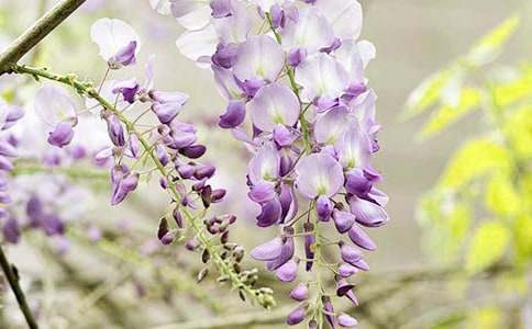 �����á����ٻ�������4ƪ