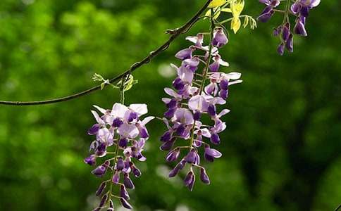 ���ٻ��_����