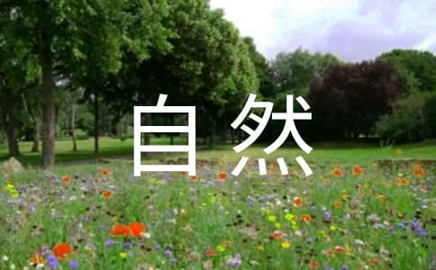 ����Ȼ�������u(p��ng)�n��ͨ��11ƪ