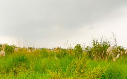 ���M���C�Ĵ����x���15ƪ