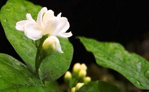 ������ ���꼉(j��)����