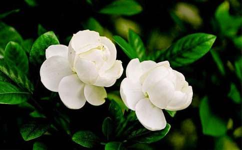 ��������(�R��15ƪ)