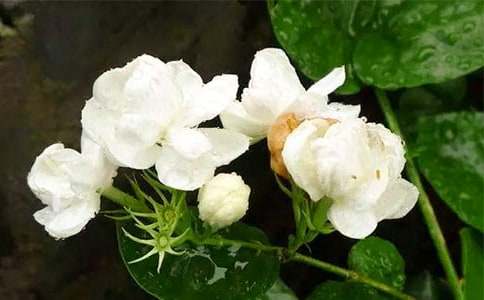 �����u�n��