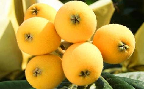 ���˘�(sh��)����