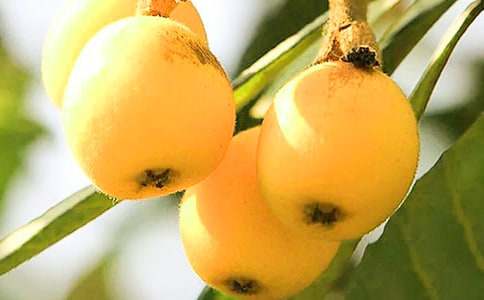 ժ��������[���T]