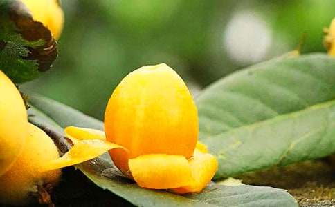 ���˵�����