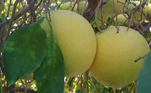 ���ӵ���������