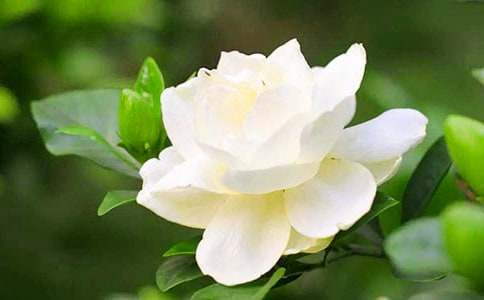 �d�ӻ�������