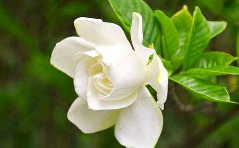 С�~�d�ӻ����Bֳ����